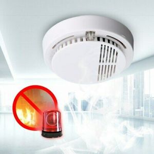Best4U Home & Garden  Smoke Detector Smokehouse Fire Alarm Sensor