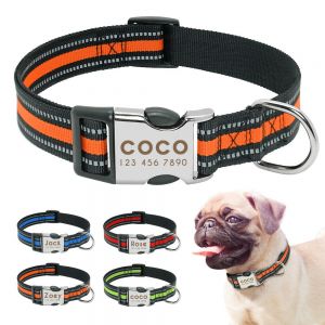 Choker With Caption Of Your Dog's Name And Phone Number